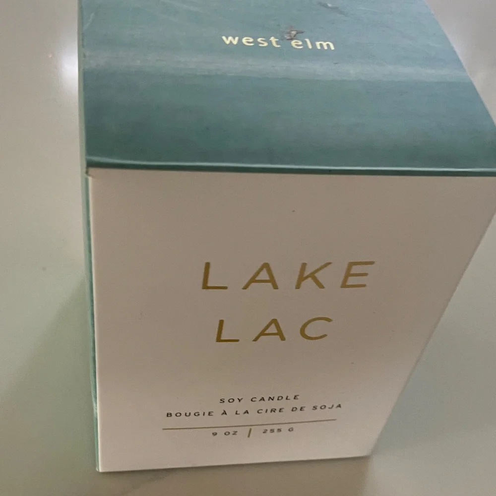 West Elm Lake Lac Candle in Green and White